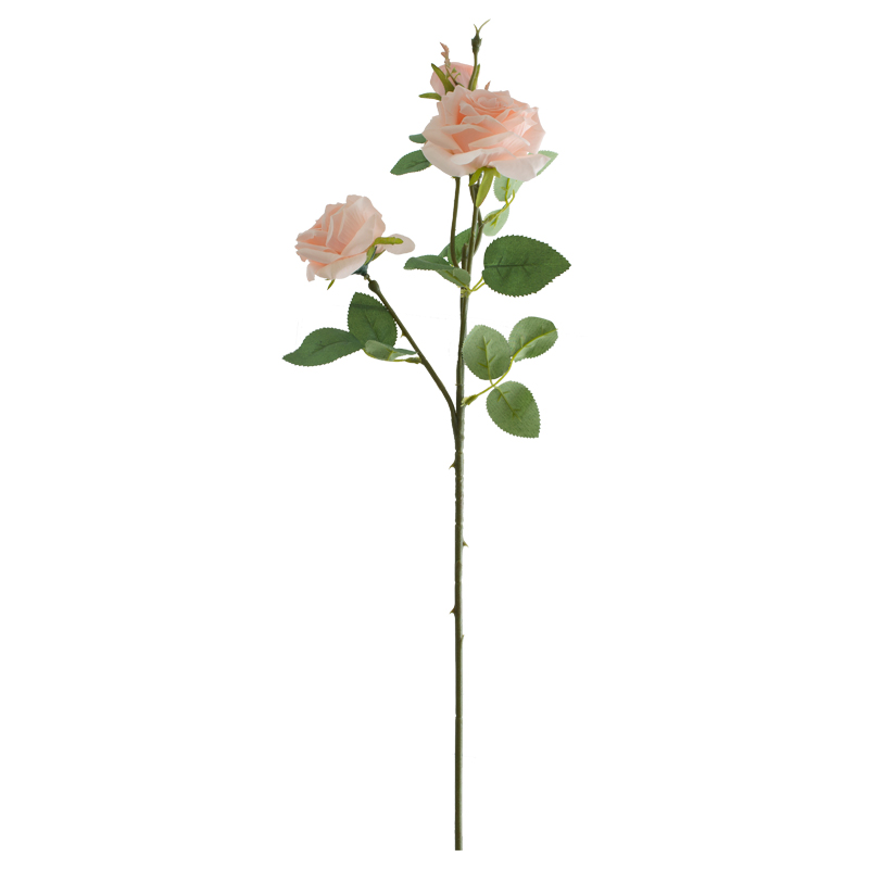 APRICOT ROSE 65CM - Image 2