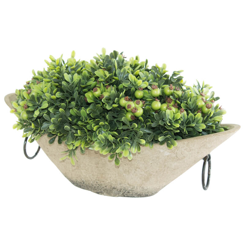 GREEN WILD BERRY IN POT 30X15X15C - Image 2