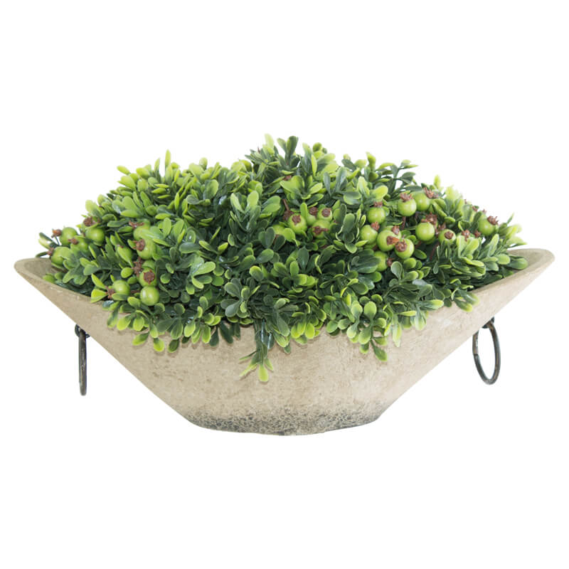 GREEN WILD BERRY IN POT 30X15X15C