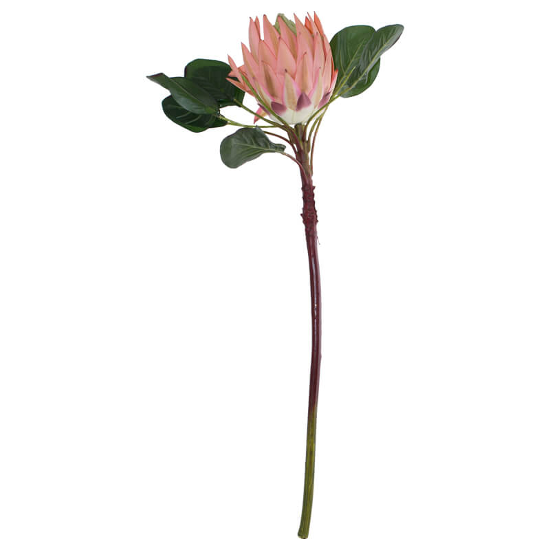 LIGHT PINK KING PROTEA 78CM - Image 2