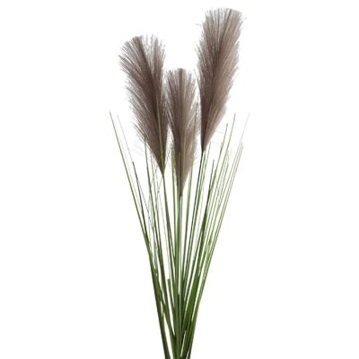 PAMPAS STEM 90CM CHARCOAL