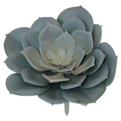 MAUVE DESERT ROSE 11X13CM