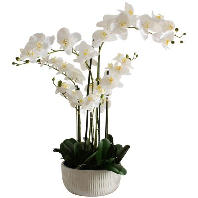 WHITE ORCHID IN FLAT POT 84CM