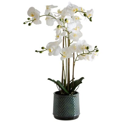 WHITE ORCHID IN GREY POT 71CM