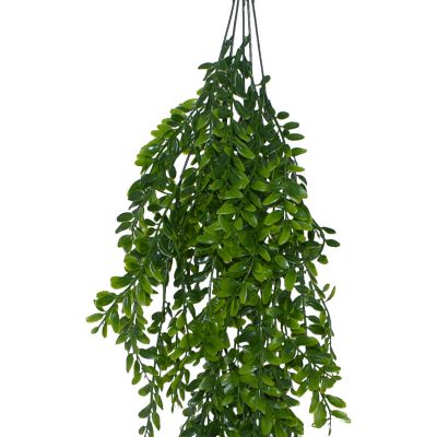 HANGING FERN PLANT 80CM