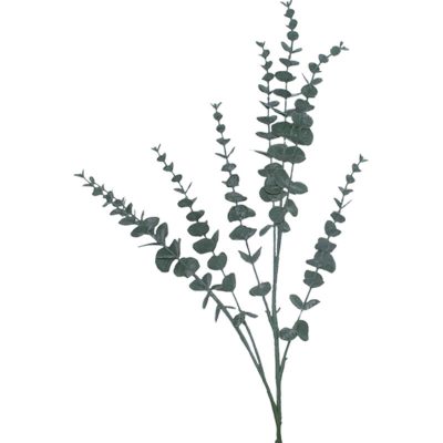 EUCALYPTUS BRANCH 76CM