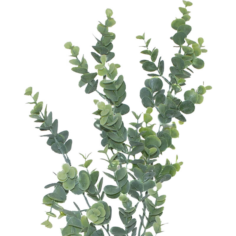 EUCALYPTUS PLANT 85CM - Image 3