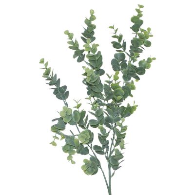 EUCALYPTUS PLANT 85CM