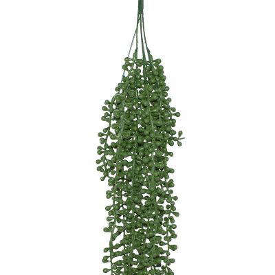 HANGING AIR PLANT 72CM