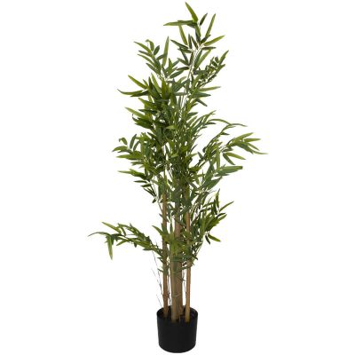 BAMBOO TREE IN POT 1.2M