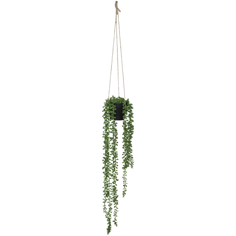 HANGING DONKEY TAIL IN POT 60CM - Image 2