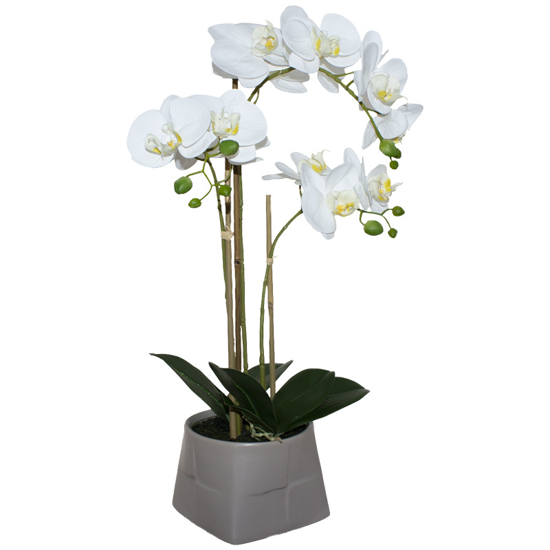 WHITE ORCHID IN BEIGE POT 58CM