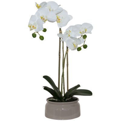 WHITE ORCHID IN BEIGE POT 46CM