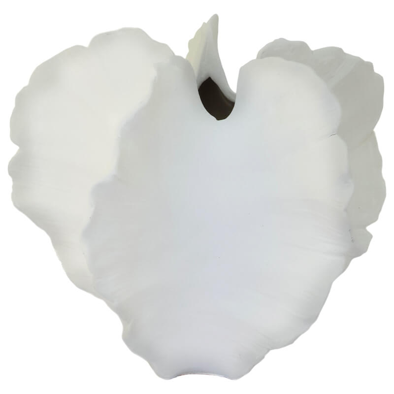 SHELL VASE 17X19X18CM - Image 2