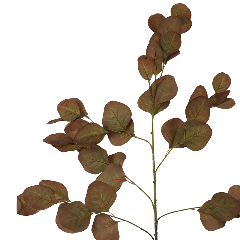 EUCALYPTUS AUTUMN STEM 88CM - Image 2
