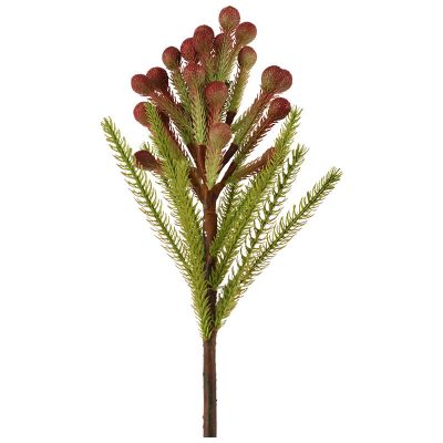 PINK SNOWBERRY FYNBOS 60CM