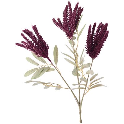 AMARANTHUS PURPLE STEM 84CM