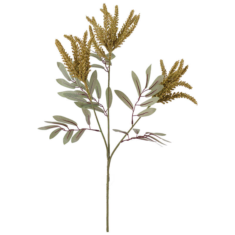 AMARANTHUS YELLOW STEM 84CM