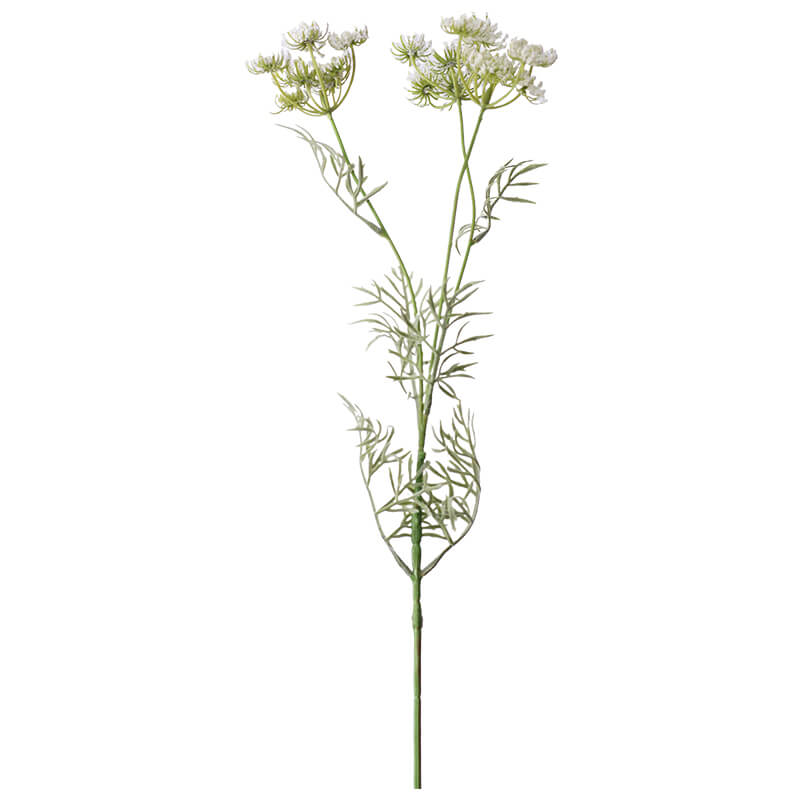 QUEEN ANNE LACE STEM 85CM