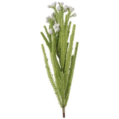 WHITE SNOWBERRY FYNBOS 60CM