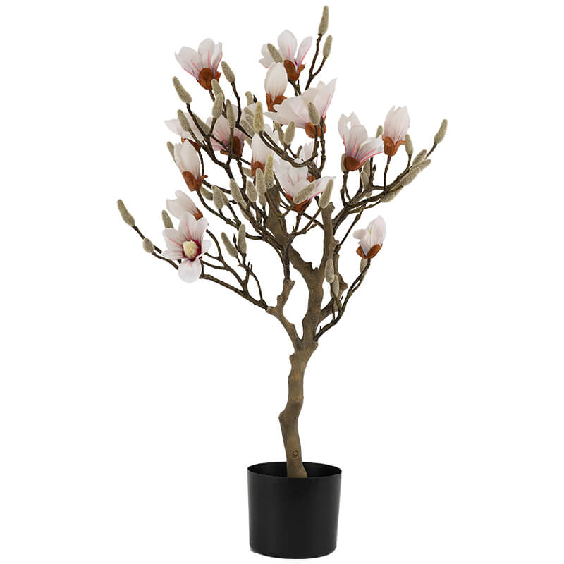 PALE PINK MAGNOLIA TREE 85CM