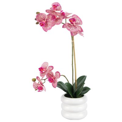 FUCHSIA ORCHID IN WHITE POT 51CM