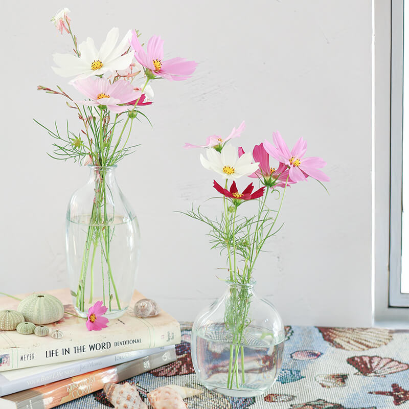 ORGANIC POSY VASE/BOTTLE 15CM - Image 3