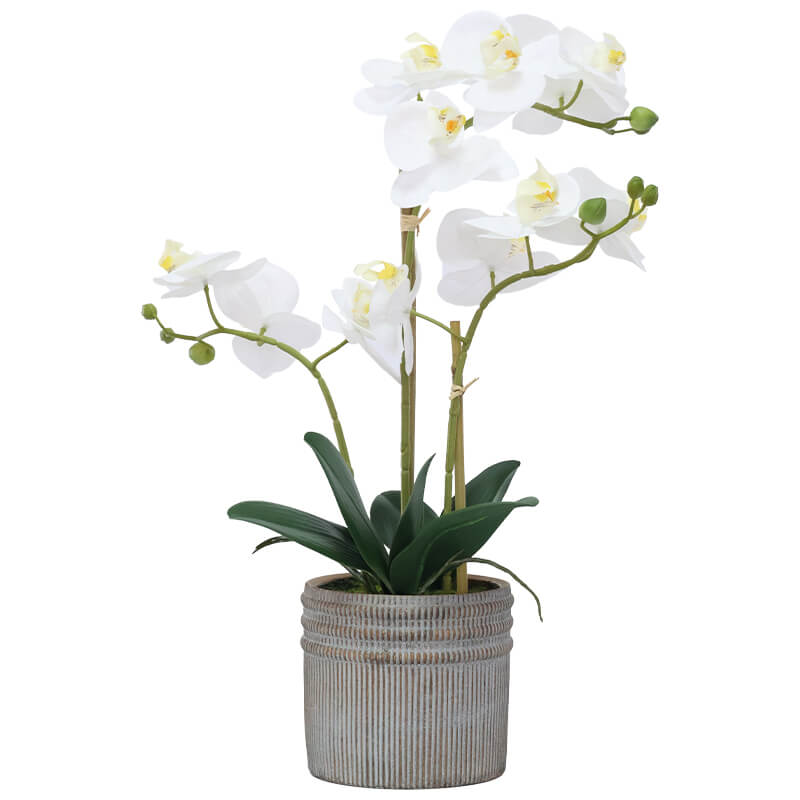 REAL TOUCH WHITE ORCHID IN POT 53