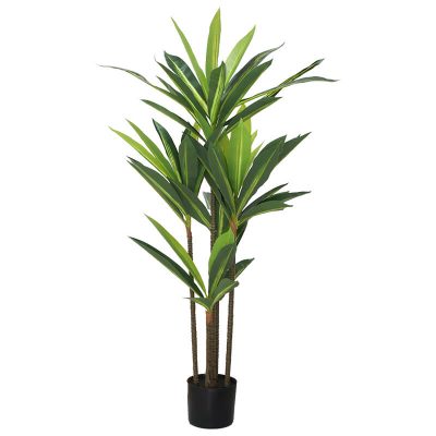 DRACAENA WITH PLASTIC POT 114CM