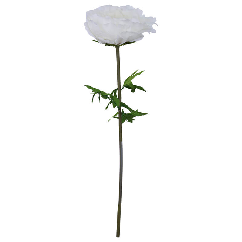 CREAM PEONY STEM 130CM HIGH 42CM DIAMETER - Image 2