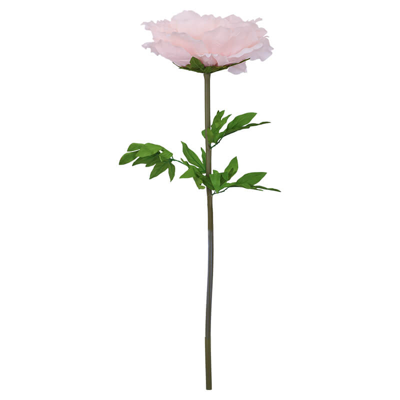 PEACH PEONY STEM 130CM HIGH 42CM DIAMETER - Image 2