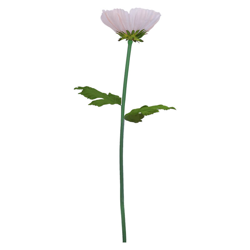 PEACH COREOPSIS STEM 128CM HIGH 35CM DIAMETER - Image 2
