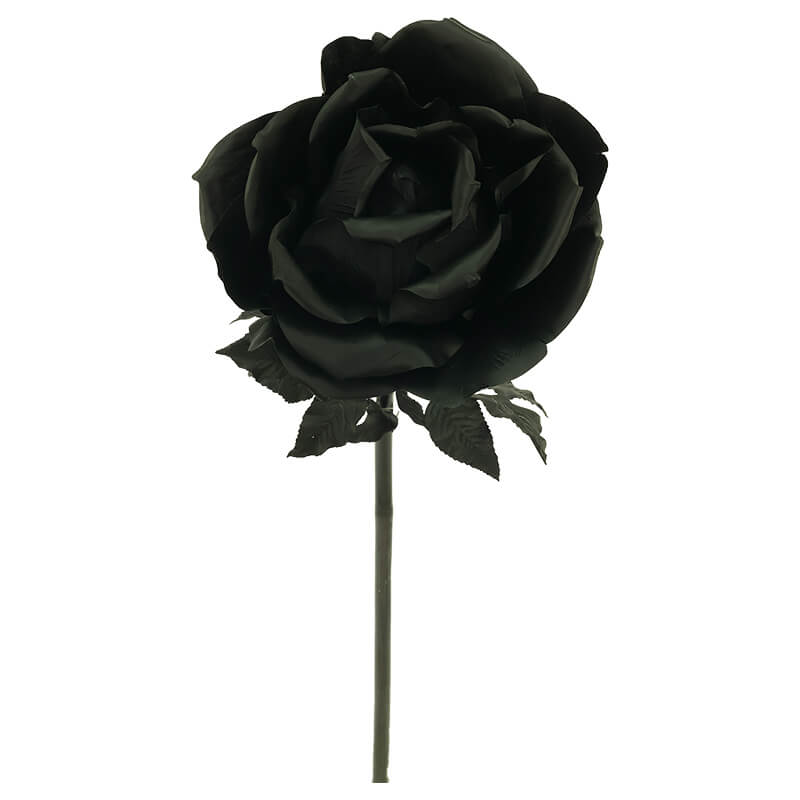BLACK ROSE STEM 136CM HIGH 40CM DIAMETER