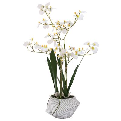 REAL TOUCH WHITE ONCIDIUM 56CM