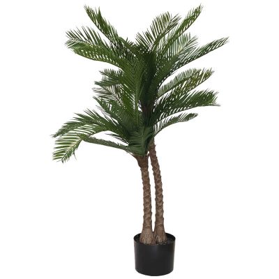 CYCAS IN POT 95CM