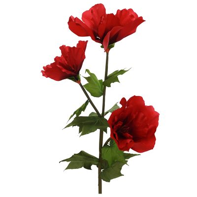 RED HIBUSCUS 140X55CM