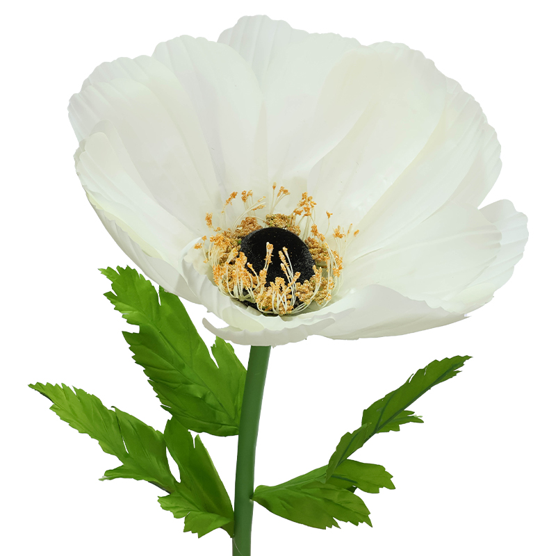 COREOPSIS WITH STEM CREAM 140X50C