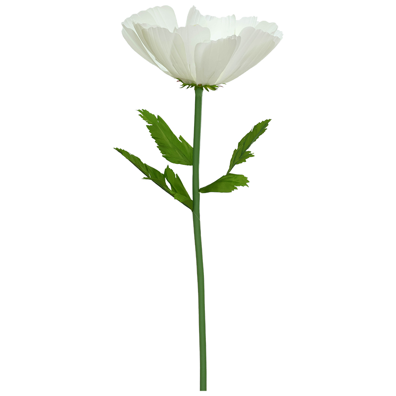 COREOPSIS WITH STEM CREAM 140X50C - Image 2