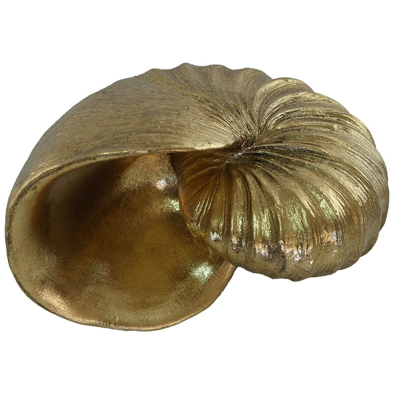 GOLD NAUTILUS SHELL 15CM - Image 4