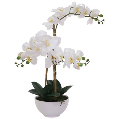 WHITE REAL TOUCH ORCHID IN POT 61CM