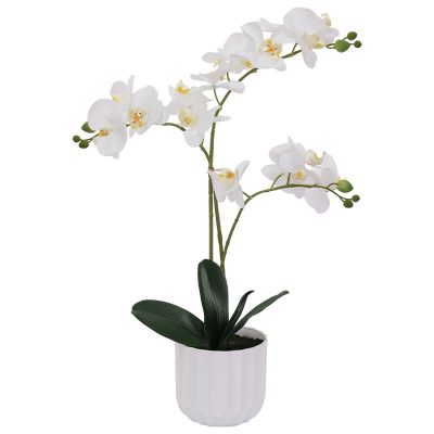 WHITE ORCHID/WHITE FACET POT 54CM
