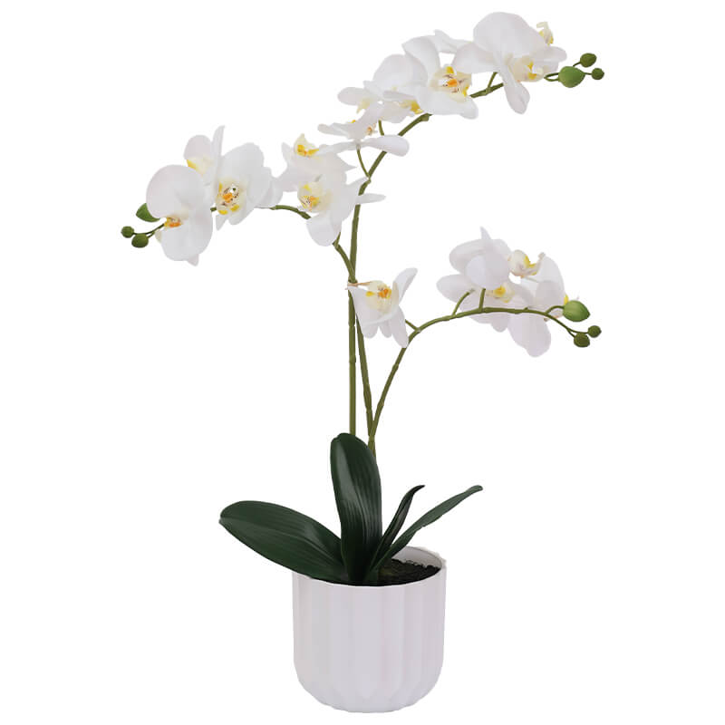 WHITE ORCHID/WHITE FACET POT 54CM