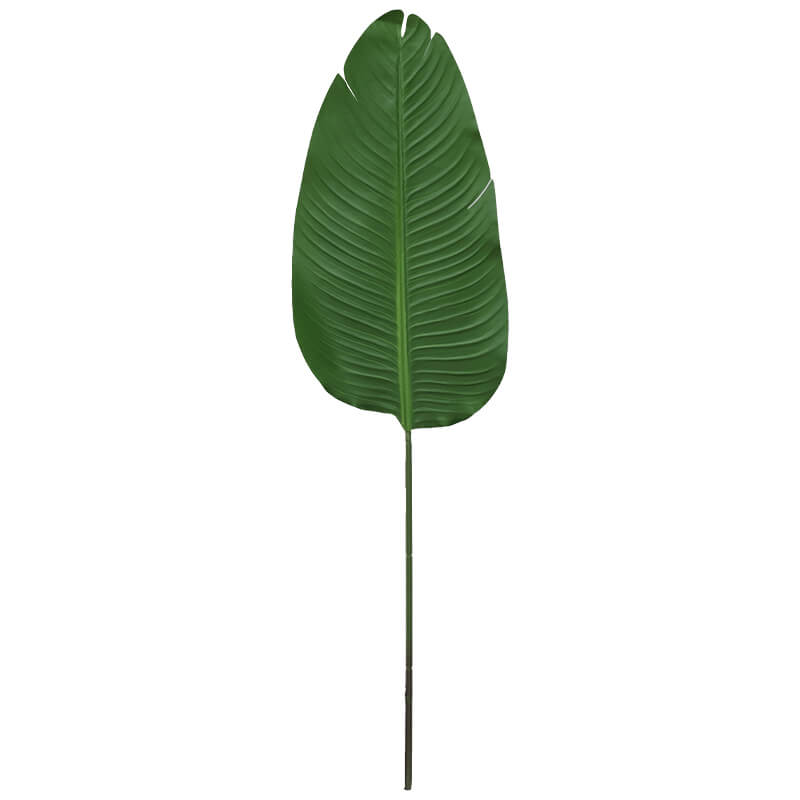 LIGHT GREEN GIANT BANANA LEAF 97C - Image 2