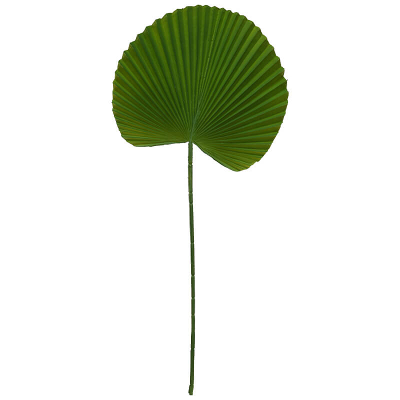 GIANT DARK GREEN FAN LEAF 80CM - Image 2
