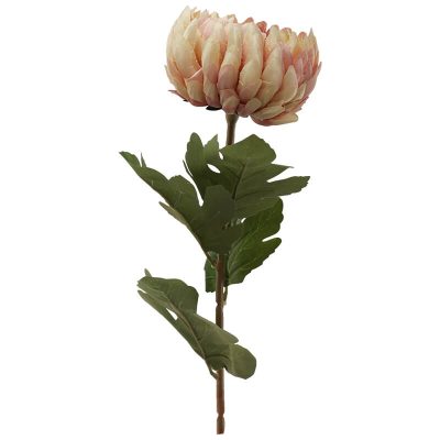 PEACH CRYSANTHEMUM 73CM