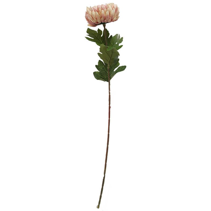 PEACH CRYSANTHEMUM 73CM - Image 3